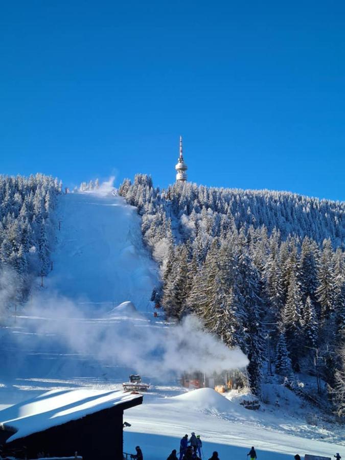 Студиа Студенец Smoljan Exterior foto